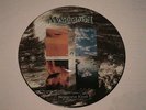 Marillion  Picture - Disc  Seasons End