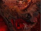 SUICIDAL ANGELS - Eternal Domination  [BLACK Vinyl] LP