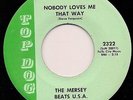 Garage THE MERSEY BEATS USA Nobody Loves Me That Way KY  Pre-NRBQ