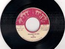 PRAISES TO JAH-THE ROOTS 7 inch