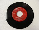 THE LEMON DROPS - I LIVE IN THE SPRINGTIME/LISTEN GIRL - 45 (5009) - VG/VG+ POP