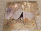 LA DISPUTE Somewhere at the Bottom of the River 2XLP Brown/500 Wildlife Converge