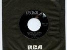 E2279 ABBA - FELICIDAD / ANDANTE ANDANTE - VERY RARE PERU 45