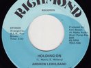 Modern Soul Funk * ANDREW LEWIS BAND * Holding On * LISTEN MP3
