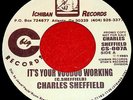 Charles Sheffield 'Voodoo Working' RARE 7