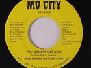 rare Modern Soul 45 DANI RAYE & NATURE'S WAY try something new MO-CITY