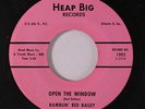 RAMBLIN' RED BAILEY: Open The Window / Pretty Juke Box 45 rare Rockabilly