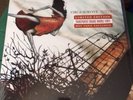 NEW Circa Survive Juturna Orange 12