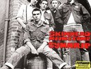SYMARIP Skinhead Moonstomp LP NEW VINYL SUNRISE 2 Tone Ska Reggae 180g Insert