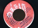 1171 ENOS MCLEOD-THE HALF-ORBIT-1982 REGGAE 45 7