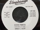 Shirley J Scott 