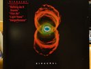 Pearl Jam Binaural 12