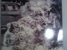 Rage Against the Machine Vinyl Album Red