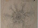 Gunter Hampel & His Galaxie Dream Band - Unity Dance LP- Birth - Free Jazz VG++