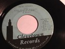 RARE OHIO SOUL FUNK 45/ RICKY HODGES WITH LITTLE G 