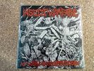 Insect Warfare At War With Grindcore 7