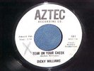 Northern new breed/Dicky Williams/Aztec/Honey Babe/VG+