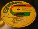 Wailing Souls Kingdom Rise Kingdom Fall Killer Roots 12