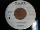 Mod fuzz pop psych 45 The Raven - Calamity Jane on Rust Promo LISTEN