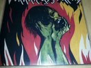 Vorkriegsjugend LP 1st Press VKJ, Slime, Toxoplasma,Daily Terror SEHR SELTEN RAR