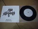 SHUB NIGGURATH (Mexico) Blasphemies of Nether World  7