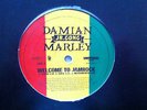 DANIAN MARLEY / WELCOME TO JAMROCK - 12