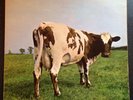 Pink Floyd - Atom Heart Mother (1st Pressing No EMI Box A-1G/B-1G Vinyl LP)