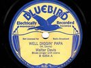 WALTER DAVIS,  Well Diggin' Papa,   BLUES   Bluebird  78