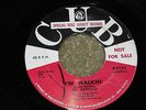 NORTHERN  45 - AL APOLLO - I'M WALKIN - CUB PROMO