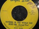 HEAR Northern Soul/New Breed Dancer-Ricky Allen-Nothing In The World-Bright Star