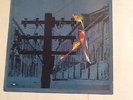 BILLY NICHOLLS love songs LP 10 track