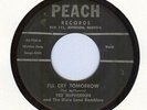 Ted McPherson & The Dixie Land Ramblers - Peach 724 - 1959