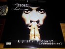 2 PAC S 3 LP ALBUM  R U STILL DOWN    IN   TOP ZUSTAND