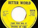 SHADES OF TIME MICHIGAN NORTHERN SOUL FUNK BETTER WORLD LBL #4357 CAN YOU DIG IT