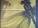 Coheed and Cambria The Second Stage Turbine Blade