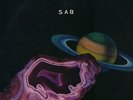 SAB: Crystallization LP Vanity Japanese electronic experimental synth
