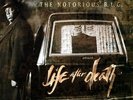 NOTORIOUS B.I.G 