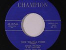 CHUCK HARROD & ANTEATERS: They Wanna Fight / Sandy 45 rare Rockabilly