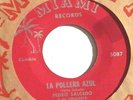 MONSTER CUMBIA PEDRO SALCEDO LA POLLERA AZUL COLOMBIA AFRO LATIN BEAT