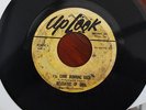 Delegates of Soul - I'll Come Running Back