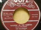 1959 VOCAL GROUP ROCKER BELVEDERES JOPZ 1771 WALKING IN THE GARDEN KILLER GUITAR