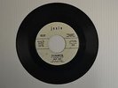 RIPP TIDE - 45 PROMO RECORD    JOSIE 974    DYNAMITE / THE RAINS CAME - NORTHERN