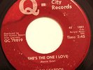 NORTHERN 45-THE DELACARDOS-SHE'S THE ONE I LOVE /GOT NO ONE on Q CITY