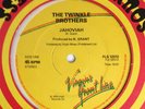 THE TWINKLE BROTHERS feat SIR LEE free africa b/w jahoviah VIRGIN'S FRONT LINE