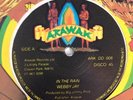 WEBBY JAY - in the rain - ARAWAK NM