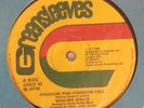 WAILING SOULS - kingdom rise kingdom fall b/w a day will come - GREENSLEEVES