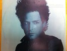 Fleetwood Mac/Lindsey Buckingham 'Go Insane' Rare Dutch 12