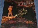 BIG SLEEP Bluebell Wood RARE ULTIMATE ORIG 1G/1G UK 1971 'LOST' PEGASUS PROG LP