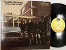 FLAMIN GROOVIES Shake Some Action US LP Promo 1976 Garage Punks