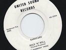 PRIVATE 1962 MN Rockabilly 45 - HARMONY TWINS 